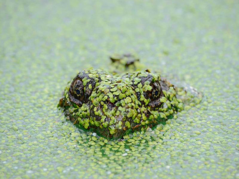 气味图书馆<br>lyd4nhjn.cn 雨后泥土芬芳